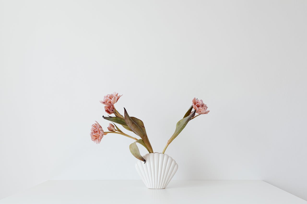 Elegant pink flowers in a white vase symbolize simplicity and beauty.